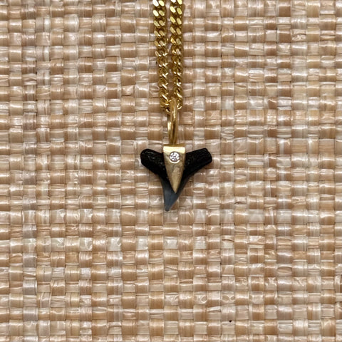 Shark’s tooth charm