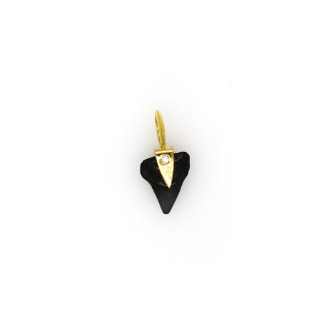 Shark’s tooth charm